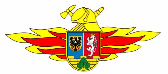 Waldbrandehrung für Feuerwehrmitglieder des Landkreises Görlitz