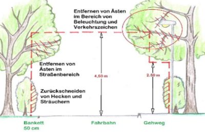 Ein Bild, das Text, Zeichnung, Maße enthält.links und rechts eine Baumallee unterschiedlicher Höhe, Bankett 50 cm, Gehweg mit 2,50 m, Fahrbahn 4,50 m. Sicherheitsraum, Lichtraumprofil, erkennbar